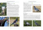 Alternative view 3 of A Naturalist's Guide to the Birds of New Zealand