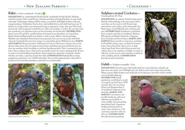 A Naturalist's Guide to the Birds of New Zealand