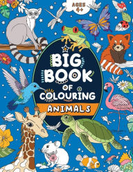 Title: Big Book of Colouring: For Children Ages 4+, Author: Fairywren Publishing