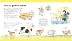 Alternative view 5 of Food for All: What We Eat and Where it Comes From