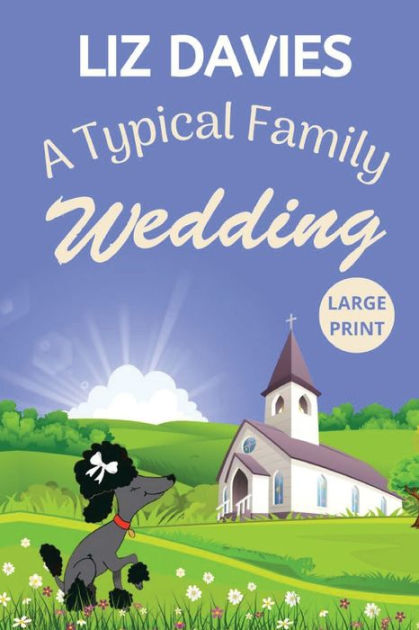 a-typical-family-wedding-by-liz-davies-paperback-barnes-noble