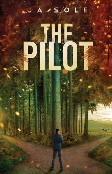 The Pilot: His student pilot is being stalked, and she thinks it's him. Someone is smuggling immigrants, and Scott himself is being hunted.
