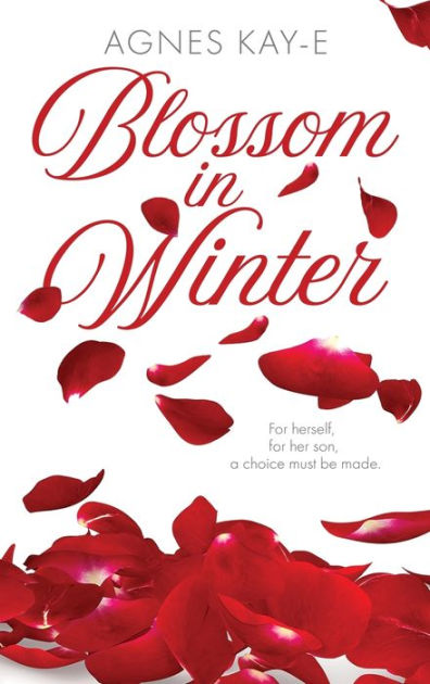 Blossom in Winter: Books 1, 2, 3 and 4