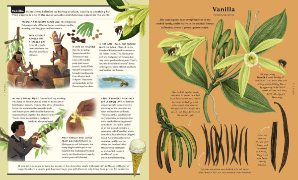 The Stuff that Stuff Is Made Of: The Things We Make With Plants