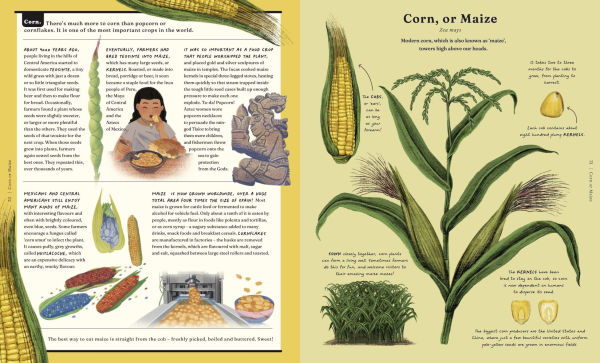 The Stuff that Stuff Is Made Of: The Things We Make With Plants