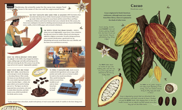 The Stuff that Stuff Is Made Of: The Things We Make With Plants