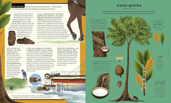 The Stuff that Stuff Is Made Of: The Things We Make With Plants