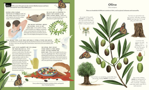 The Stuff that Stuff Is Made Of: The Things We Make With Plants