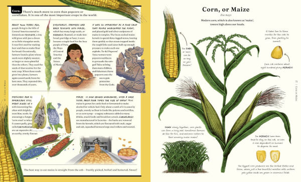 The Stuff that Stuff Is Made Of: The Things We Make With Plants