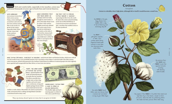 The Stuff that Stuff Is Made Of: The Things We Make With Plants