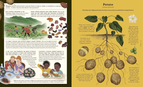 The Stuff that Stuff Is Made Of: The Things We Make With Plants