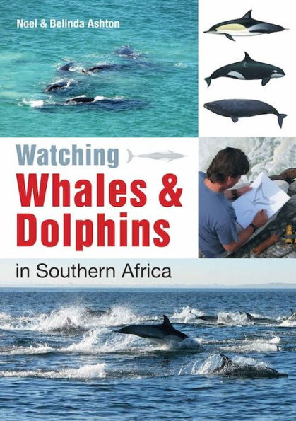 Watching Whales & Dolphins in Southern Africa