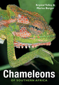 Title: Chameleons of Southern Africa, Author: Krystal Tolley