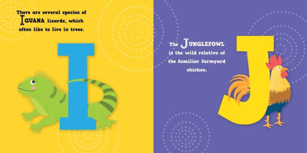 ABC of Zoo Animals