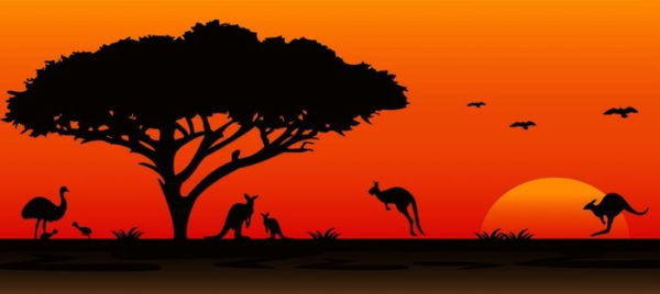 In The Outback