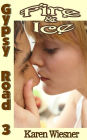 Gypsy Road Series, Book 3: Fire & Ice