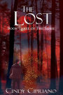 The Lost: Book Three of the Sidhe
