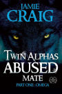 TWIN ALPHAS ABUSED MATE: PART ONE: OMEGA