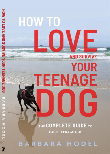How to Love and Survive Your Teenage Dog