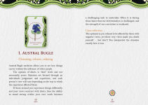 Alternative view 14 of Aboriginal Healing Oracle