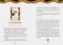 Alternative view 3 of Aboriginal Healing Oracle