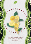 Alternative view 7 of Aboriginal Healing Oracle
