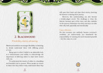Alternative view 9 of Aboriginal Healing Oracle
