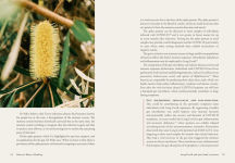 Alternative view 3 of Nature's Way to Healing: A Long Covid Guide