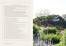Alternative view 4 of Nature's Way to Healing: A Long Covid Guide