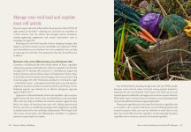 Alternative view 9 of Nature's Way to Healing: A Long Covid Guide