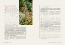 Alternative view 10 of Nature's Way to Healing: A Long Covid Guide