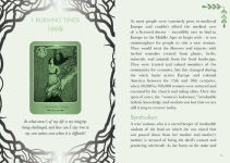 Alternative view 8 of Wise Woman Oracle: Reconnect with She Who Knows