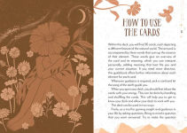 Alternative view 10 of Earth Song Oracle