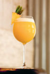 Alternative view 9 of Quick Cocktails: 55 Step-by-Step Recipes Using 5 Ingredients or Less