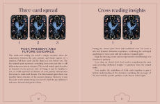 Alternative view 12 of Animal Spirit Oracle