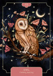 Alternative view 13 of Animal Spirit Oracle