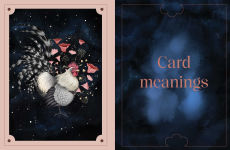 Alternative view 3 of Animal Spirit Oracle
