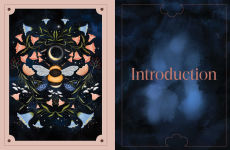 Alternative view 5 of Animal Spirit Oracle