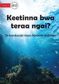 Title: Guess Who I Am? - Keetinna bwa teraa ngai? (Te Kiribati), Author: Matirete Aukitino