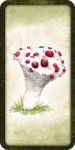 Alternative view 11 of Mushroom Affirmations