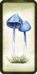 Alternative view 14 of Mushroom Affirmations