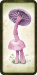 Alternative view 16 of Mushroom Affirmations
