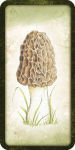 Alternative view 7 of Mushroom Affirmations
