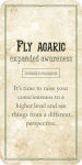 Alternative view 10 of Mushroom Affirmations