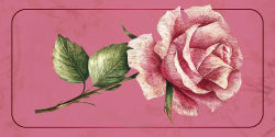 Alternative view 14 of Love Affirmations