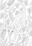 Alternative view 3 of Jungle Dreams Colouring Book: Jungle Animals