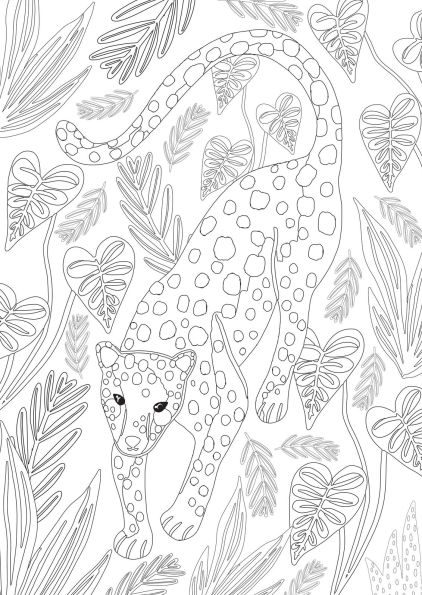 Jungle Dreams Colouring Book: Jungle Animals