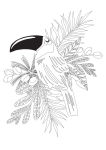Alternative view 4 of Jungle Dreams Colouring Book: Jungle Animals