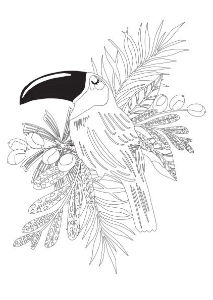 Jungle Dreams Colouring Book: Jungle Animals