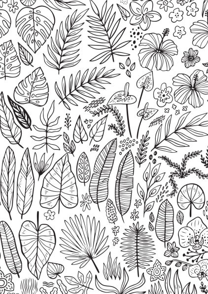 Jungle Dreams Colouring Book: Jungle Animals